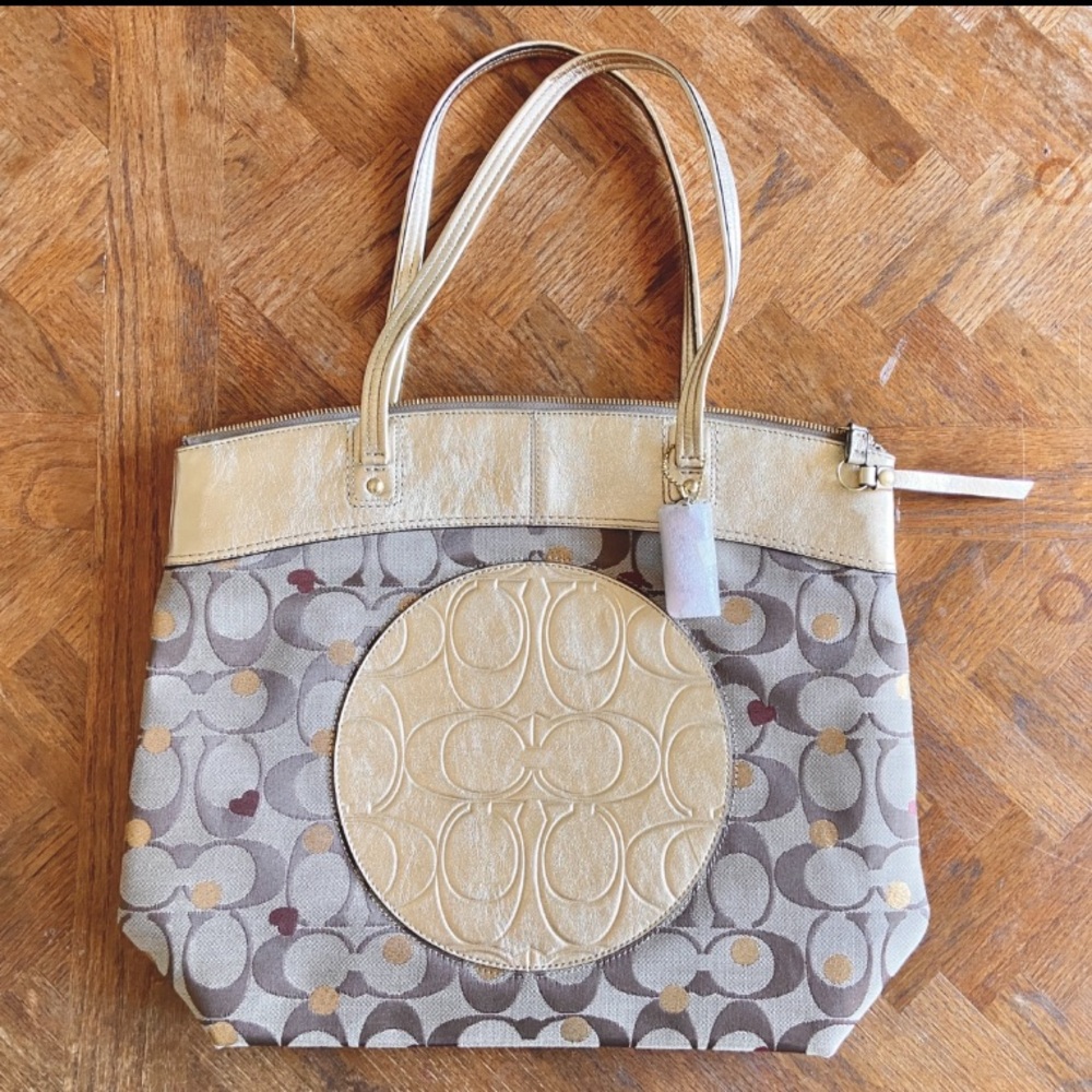 ☀️sale☀️COACH | “Secret Admirer” 💕 caryall